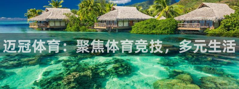 迈冠体育：聚焦体育竞技，多元生活