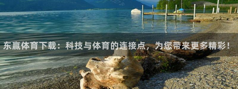东赢体育下载：科技与体育的连接点，为您带来更多精彩！