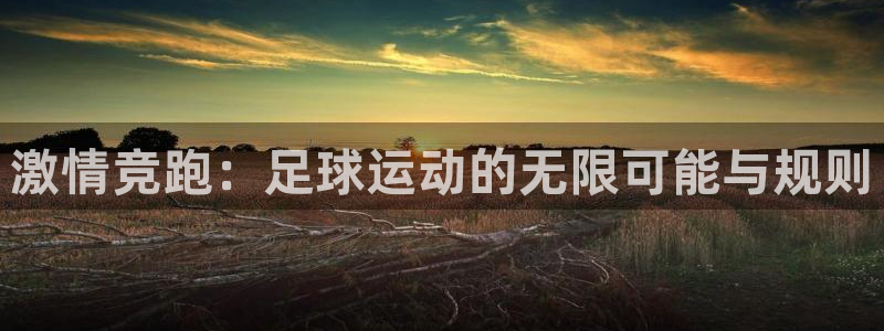 激情竞跑：足球运动的无限可能与规则