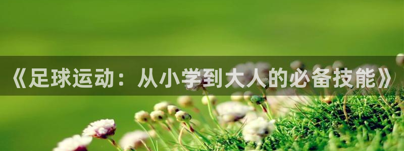 《足球运动：从小学到大人的必备技能》