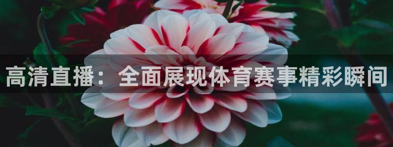 高清直播：全面展现体育赛事精彩瞬间