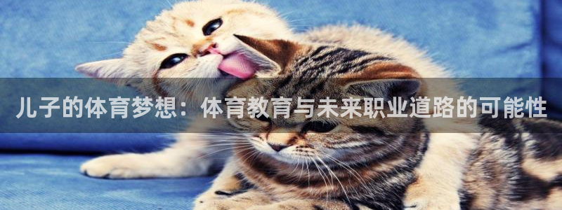 儿子的体育梦想：体育教育与未来职业道路的可能性
