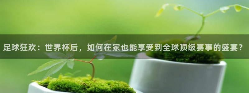 足球狂欢：世界杯后，如何在家也能享受到全球顶级赛事的盛宴？