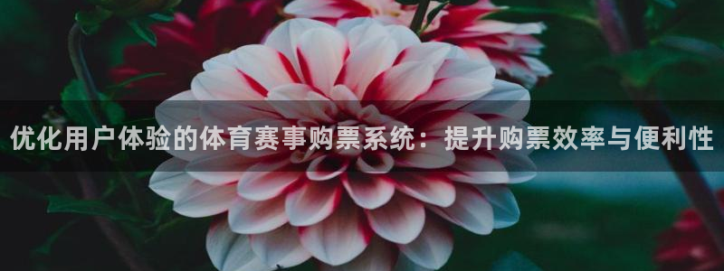 优化用户体验的体育赛事购票系统：提升购票效率与便利性