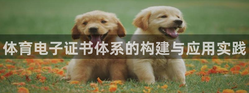 体育电子证书体系的构建与应用实践