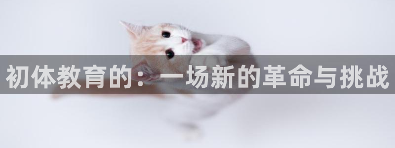 初体教育的：一场新的革命与挑战
